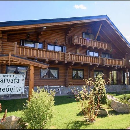 Pensiunea Varvara De Bucovina Gura Humorului Exterior photo